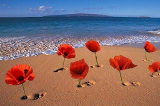 VIAGGI INCERTI...Costantino Posa VIAGGI INCERTI...Costantino Posa