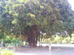 Palermo e Napoli: difficili da comprendere, facili da amare Palermo e Napoli: difficili da comprendere, facili da amare