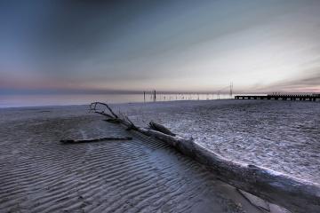 Palermo e Napoli: difficili da comprendere, facili da amare Palermo e Napoli: difficili da comprendere, facili da amare