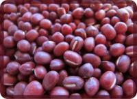 Insalata di seitan alla messicana int