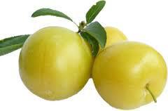 Susine o Prugne images (2)