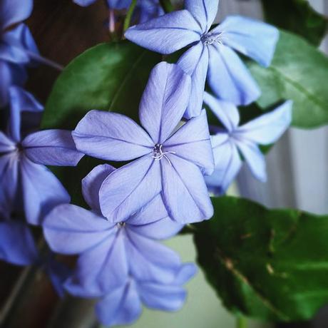 OOTD: Jumpsuit & statement necklace OOTD: Jumpsuit & statement necklace