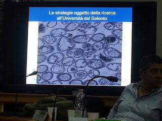 Sviluppo di un sistema di diagnosi precoce con METABOLONI e mobilità dei nanovettori nei vasi xilematici, senza che la pianta reagisca distruggendoli o inglobandoli al fine di curare gli alberi di olivi del Salento infettati dal batterio Xylella Fastid...