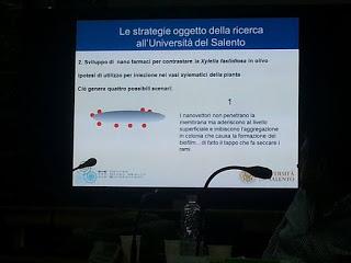 Sviluppo di un sistema di diagnosi precoce con METABOLONI e mobilità dei nanovettori nei vasi xilematici, senza che la pianta reagisca distruggendoli o inglobandoli al fine di curare gli alberi di olivi del Salento infettati dal batterio Xylella Fastid...