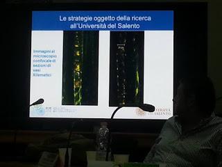 Sviluppo di un sistema di diagnosi precoce con METABOLONI e mobilità dei nanovettori nei vasi xilematici, senza che la pianta reagisca distruggendoli o inglobandoli al fine di curare gli alberi di olivi del Salento infettati dal batterio Xylella Fastid...