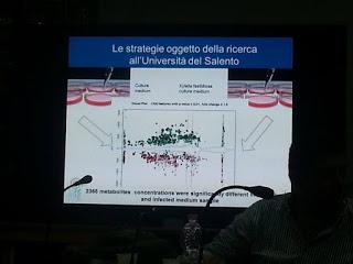 Sviluppo di un sistema di diagnosi precoce con METABOLONI e mobilità dei nanovettori nei vasi xilematici, senza che la pianta reagisca distruggendoli o inglobandoli al fine di curare gli alberi di olivi del Salento infettati dal batterio Xylella Fastid...