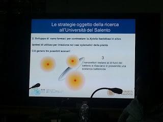 Sviluppo di un sistema di diagnosi precoce con METABOLONI e mobilità dei nanovettori nei vasi xilematici, senza che la pianta reagisca distruggendoli o inglobandoli al fine di curare gli alberi di olivi del Salento infettati dal batterio Xylella Fastid...