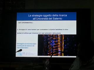 Sviluppo di un sistema di diagnosi precoce con METABOLONI e mobilità dei nanovettori nei vasi xilematici, senza che la pianta reagisca distruggendoli o inglobandoli al fine di curare gli alberi di olivi del Salento infettati dal batterio Xylella Fastid...