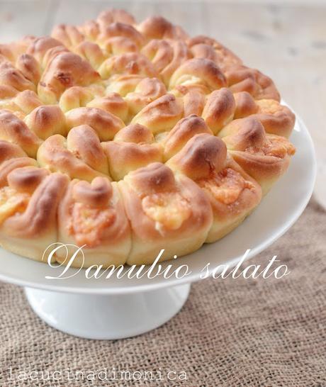 danubio salato danubio salato