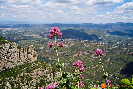 Monastero di Montserrat: fantastica escursione da Barcellona