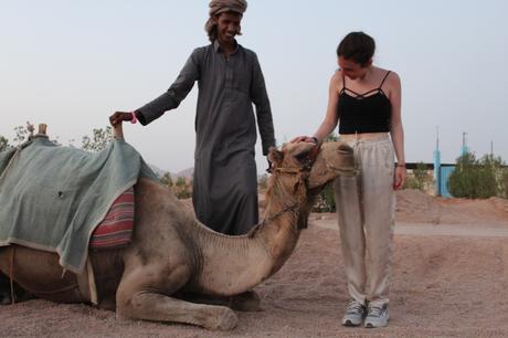 Un viaggio alla scoperta del deserto Un viaggio alla scoperta del deserto