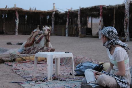 Un viaggio alla scoperta del deserto Un viaggio alla scoperta del deserto