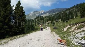 Da Dobbiaco a Prato Piazza in Mountain bike