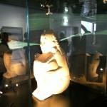 Messico, il seme per un mondo nuovo: cibo, diversità ed eredità Expo 2015 - Padiglione Mexico