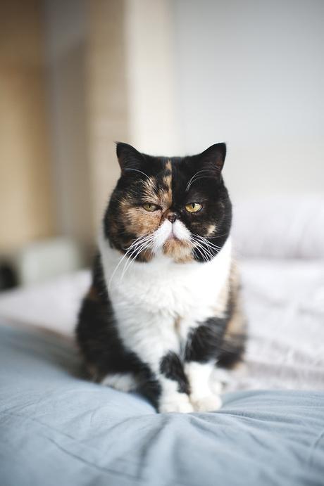 I miei 5 difetti in viaggio. I miei 5 difetti in viaggio.