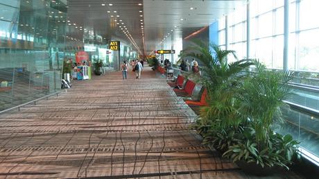 Changi Singapore 54 milioni di passeggeri. Fiumicino Roma 43 milioni di passeggeri. Guardatevi le differenze in 40 foto Changi Singapore 54 milioni di passeggeri. Fiumicino Roma 43 milioni di passeggeri. Guardatevi le differenze in 40 foto