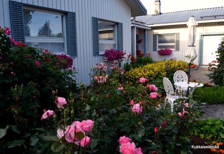 mmmyusualdailylife.blogsp9 mmmyusualdailylife.blogsp9