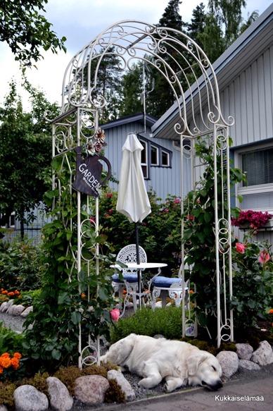 mmmyusualdailylife.blogsp17 mmmyusualdailylife.blogsp17