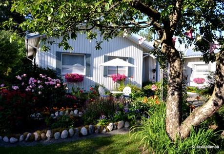 mmmyusualdailylife.blogsp mmmyusualdailylife.blogsp