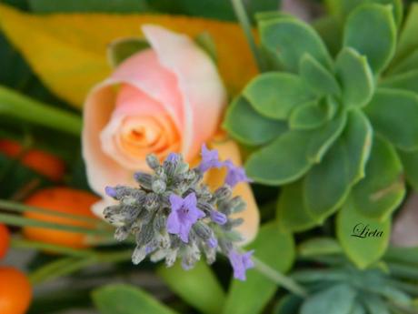 Fiori e una vecchia cornice