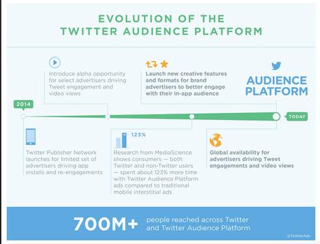 Infografica-Twitter-Audience-Platform