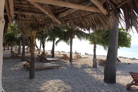 Streghe in Bikini Streghe in Bikini