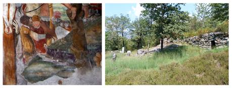 La mia terra mi insegnò le verità DiCardoneII 2