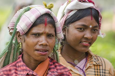 Northeast India - Considerazioni finali Northeast India - Considerazioni finali