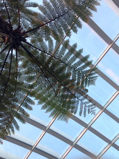 [travel] Cose da fare a Londra gratis: lo Sky Garden