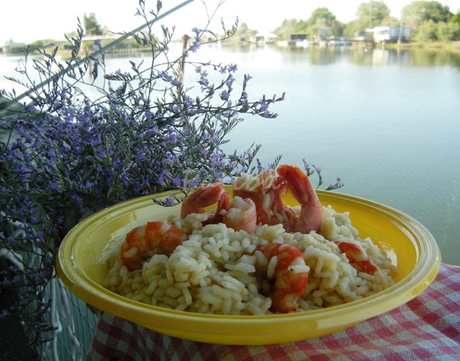 il risotto scampi gamberi