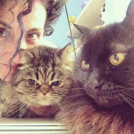 Se hai un gatto (e sei single) ce l’hai nel sacco!!! IMG_5338