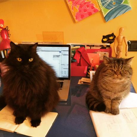 Se hai un gatto (e sei single) ce l’hai nel sacco!!! IMG_3892