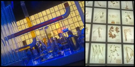 Moda e Style, con OrtoRomi a Expo 2015 Part. 1 Ph Credits Moda e Style_Russian Pavilion_Expo 2015