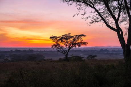 Dieci ragioni per andare in Uganda