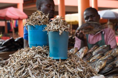 Dieci ragioni per andare in Uganda