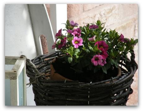 mmmj-house.blogspotnl mmmj-house.blogspotnl