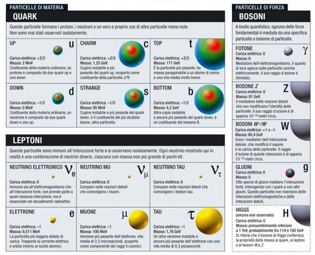 I costituenti del Modello standard