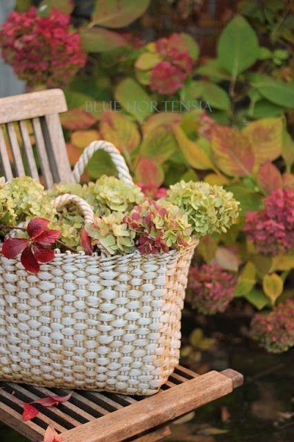 Voglia di Autunno ! 2208167cf05f1db51afb7630fcc217b0