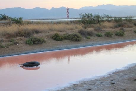 Santa Gilla, il paradiso dei detriti