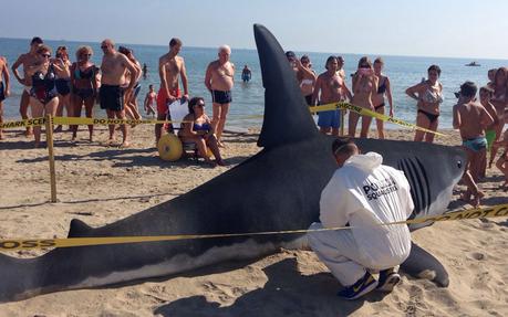 Maxi squalo in spiaggia ma è solo pubblicità di Sharknado su Sky Cinema