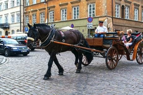 Da vedere a Varsavia: la Città Vecchia DSC_0500