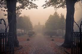 Recensione in anteprima: Liv, forever di Amy Talkington livforever1