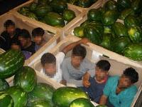 È un vero e proprio network degli vero proprio network degli scafisti d'asfalto