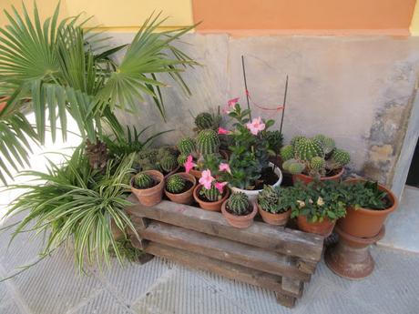 Holidays in Tuscany-6 Holidays in Tuscany-6