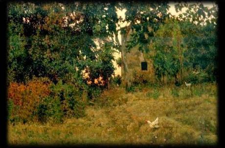 Holidays in Tuscany-6 Holidays in Tuscany-6