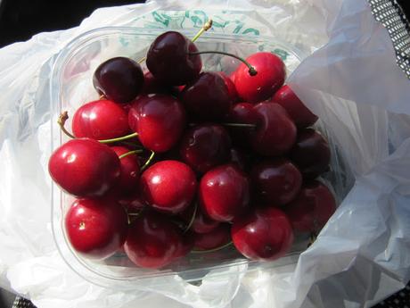 Holidays in Tuscany-6 Holidays in Tuscany-6