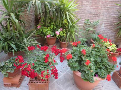 Holidays in Tuscany-6 Holidays in Tuscany-6