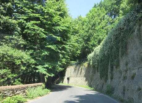 Holidays in Tuscany-6 Holidays in Tuscany-6