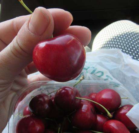 Holidays in Tuscany-6 Holidays in Tuscany-6