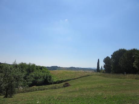 Holidays in Tuscany-6 Holidays in Tuscany-6